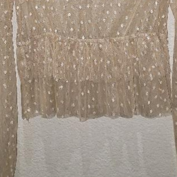 See Through Mesh Metallic Design Ruffle Top - Picture 3 of 3